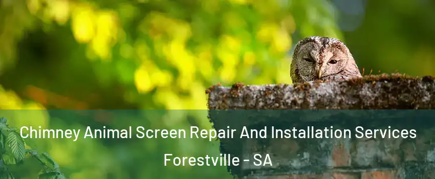 Chimney Animal Screen Repair And Installation Services Forestville - SA
