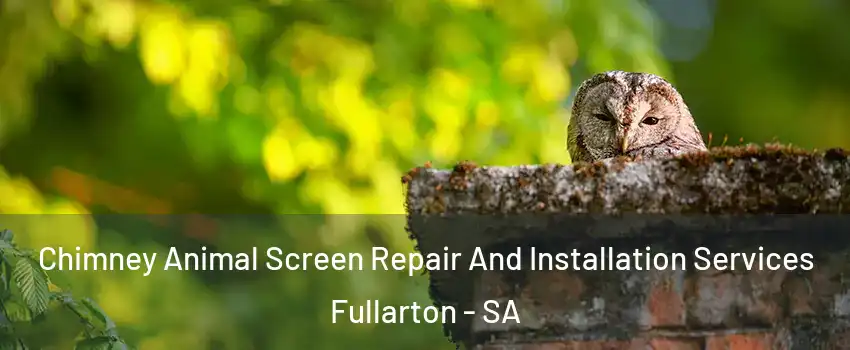 Chimney Animal Screen Repair And Installation Services Fullarton - SA