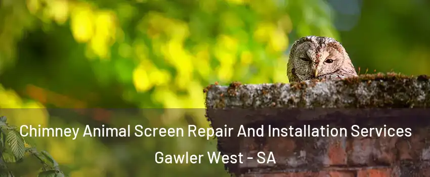 Chimney Animal Screen Repair And Installation Services Gawler West - SA