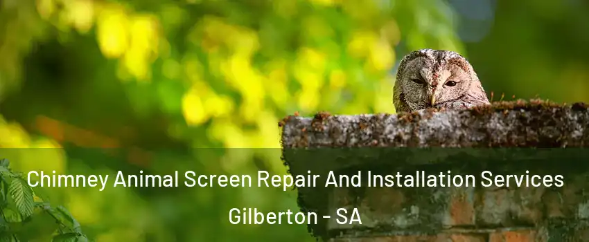Chimney Animal Screen Repair And Installation Services Gilberton - SA