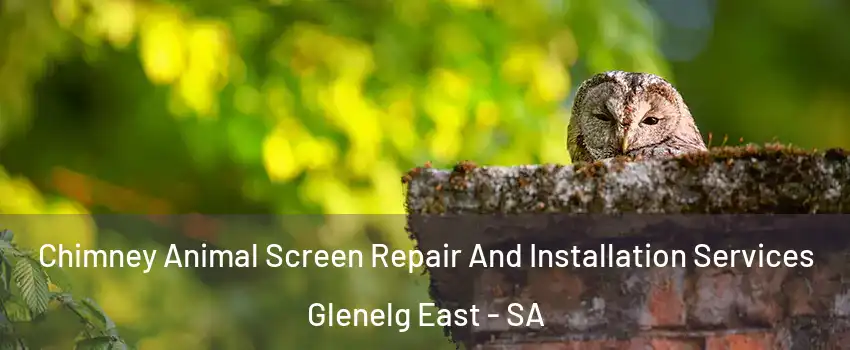 Chimney Animal Screen Repair And Installation Services Glenelg East - SA