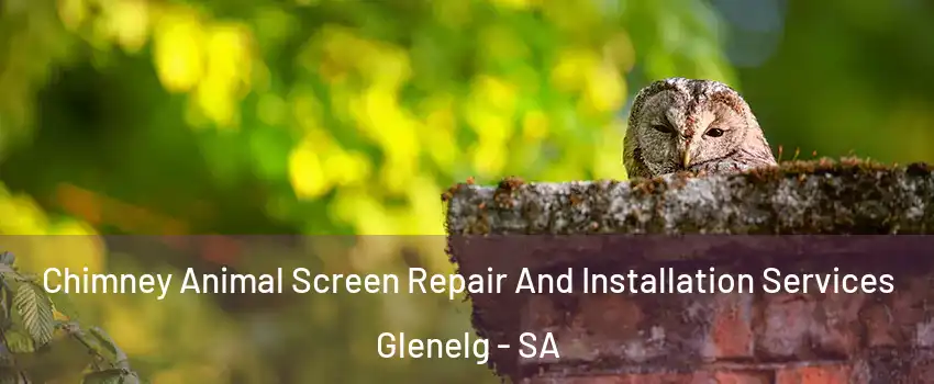 Chimney Animal Screen Repair And Installation Services Glenelg - SA