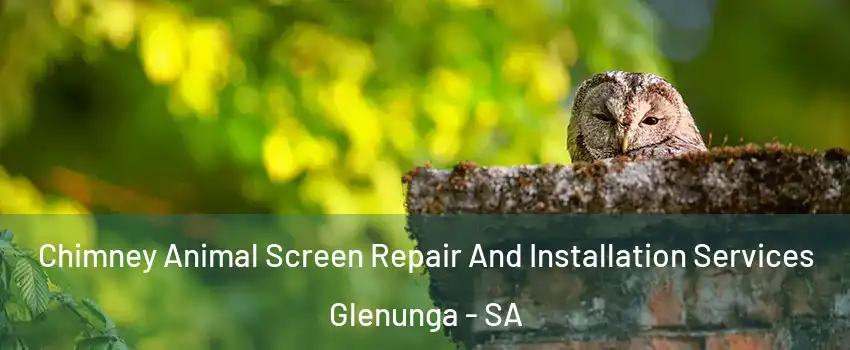 Chimney Animal Screen Repair And Installation Services Glenunga - SA