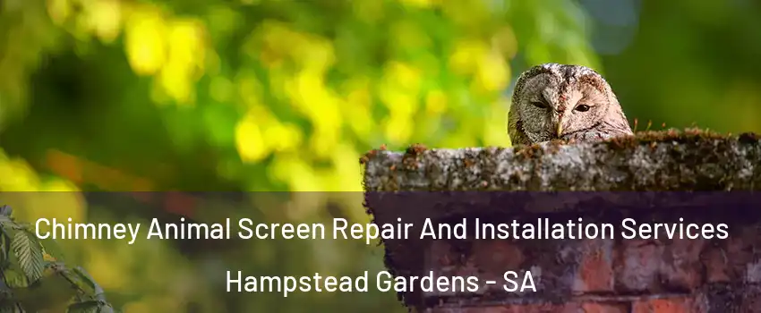 Chimney Animal Screen Repair And Installation Services Hampstead Gardens - SA