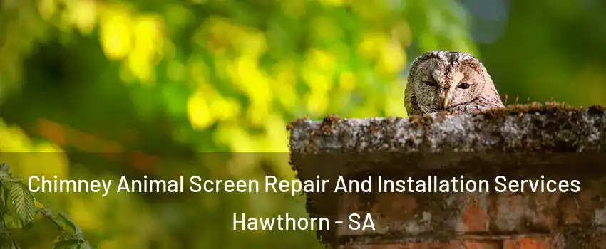 Chimney Animal Screen Repair And Installation Services Hawthorn - SA