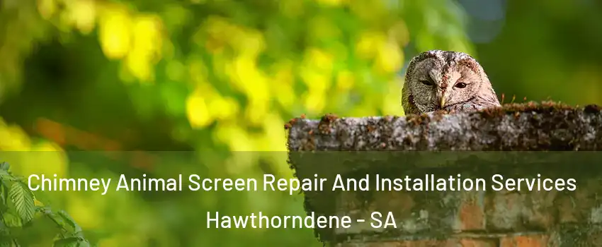 Chimney Animal Screen Repair And Installation Services Hawthorndene - SA