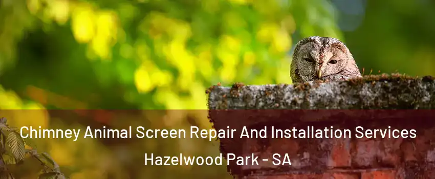 Chimney Animal Screen Repair And Installation Services Hazelwood Park - SA
