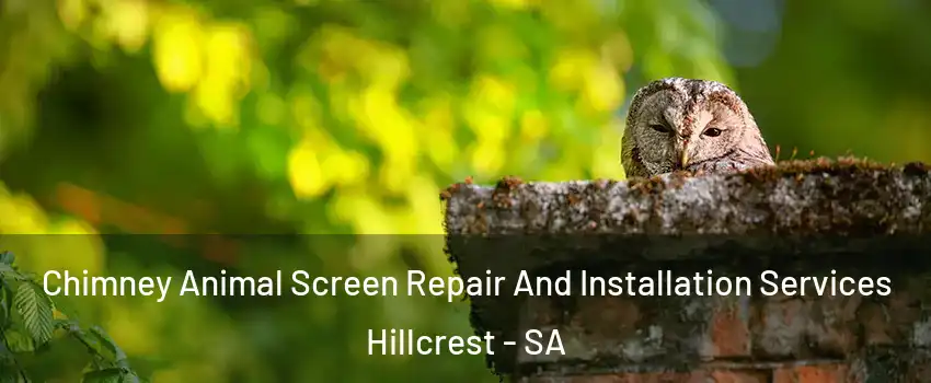  Chimney Animal Screen Repair And Installation Services Hillcrest - SA