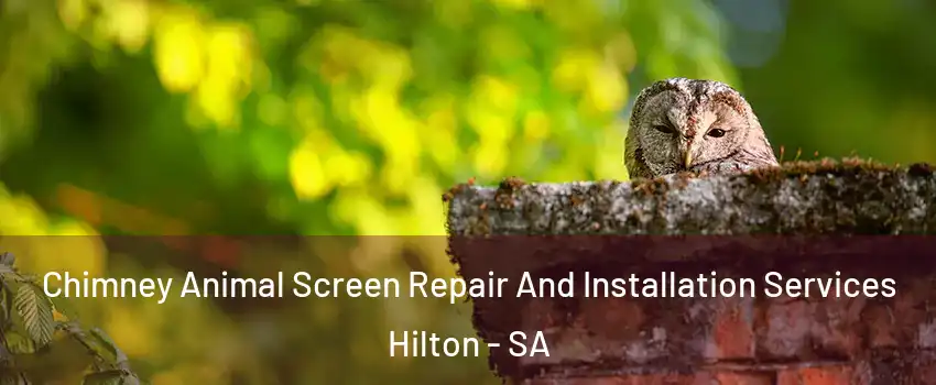 Chimney Animal Screen Repair And Installation Services Hilton - SA