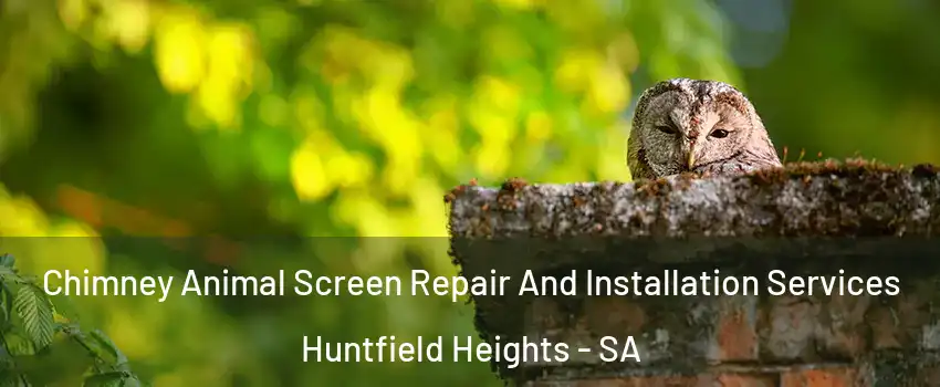 Chimney Animal Screen Repair And Installation Services Huntfield Heights - SA