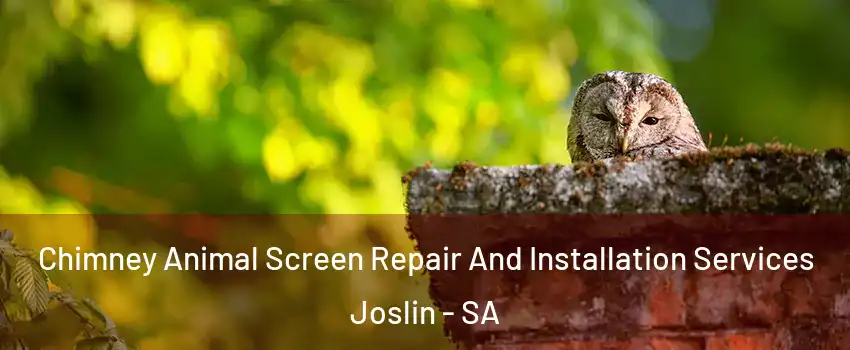 Chimney Animal Screen Repair And Installation Services Joslin - SA