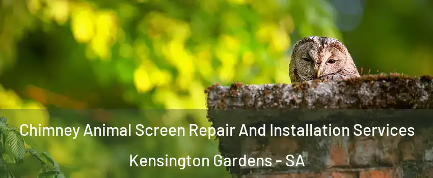 Chimney Animal Screen Repair And Installation Services Kensington Gardens - SA