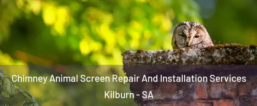Chimney Animal Screen Repair And Installation Services Kilburn - SA