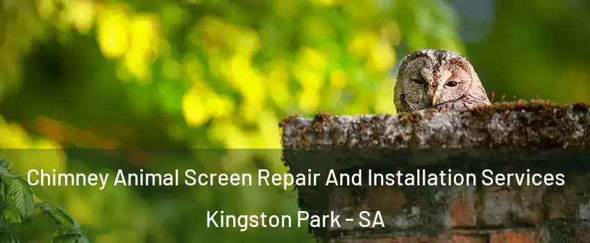 Chimney Animal Screen Repair And Installation Services Kingston Park - SA