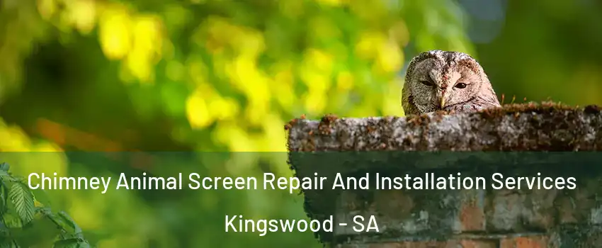 Chimney Animal Screen Repair And Installation Services Kingswood - SA