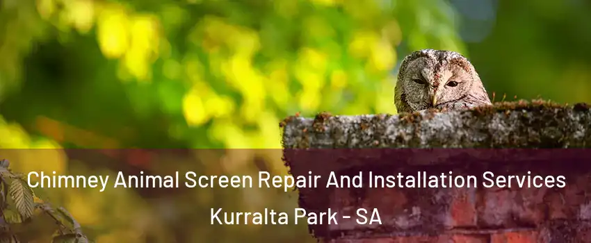 Chimney Animal Screen Repair And Installation Services Kurralta Park - SA