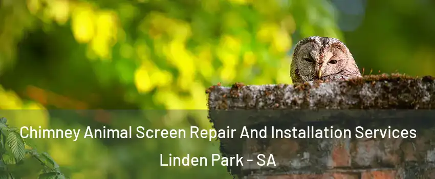 Chimney Animal Screen Repair And Installation Services Linden Park - SA