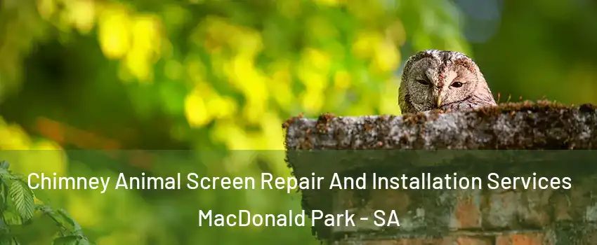 Chimney Animal Screen Repair And Installation Services MacDonald Park - SA