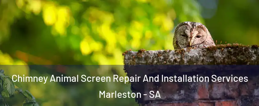 Chimney Animal Screen Repair And Installation Services Marleston - SA