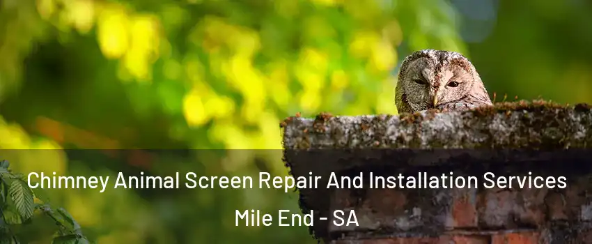 Chimney Animal Screen Repair And Installation Services Mile End - SA