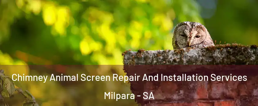 Chimney Animal Screen Repair And Installation Services Milpara - SA