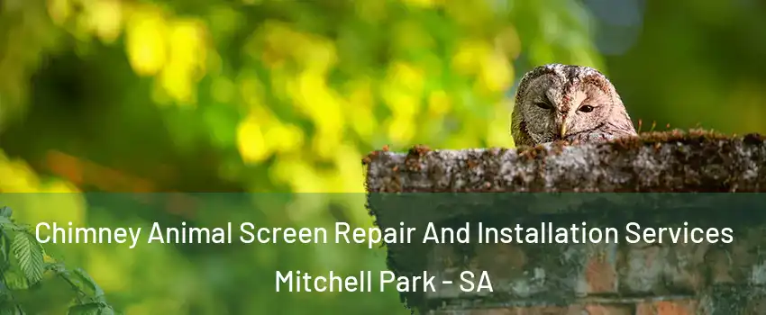 Chimney Animal Screen Repair And Installation Services Mitchell Park - SA