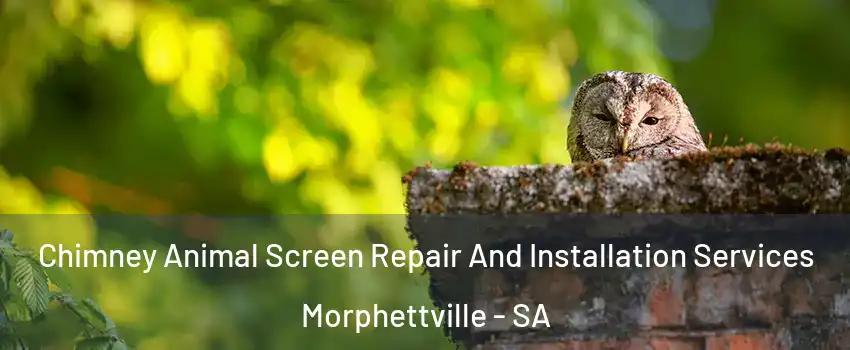 Chimney Animal Screen Repair And Installation Services Morphettville - SA