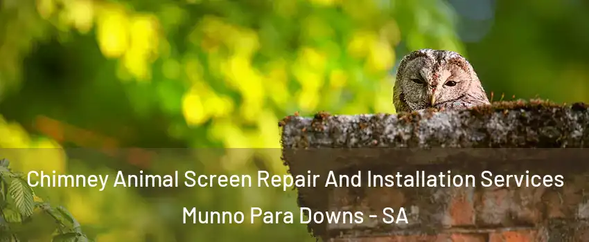 Chimney Animal Screen Repair And Installation Services Munno Para Downs - SA