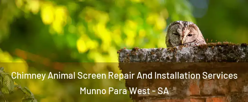 Chimney Animal Screen Repair And Installation Services Munno Para West - SA