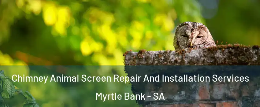 Chimney Animal Screen Repair And Installation Services Myrtle Bank - SA