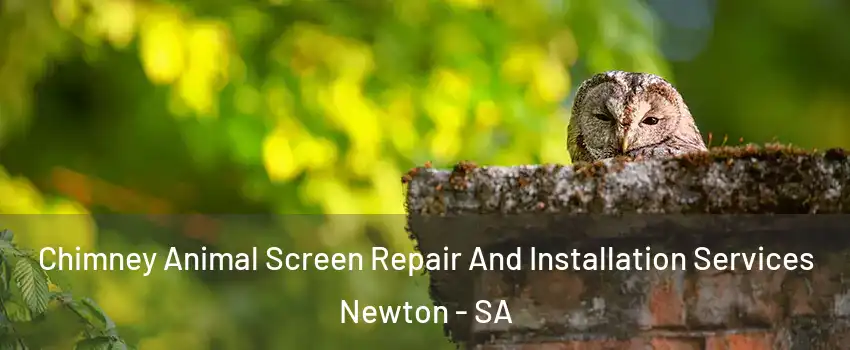 Chimney Animal Screen Repair And Installation Services Newton - SA
