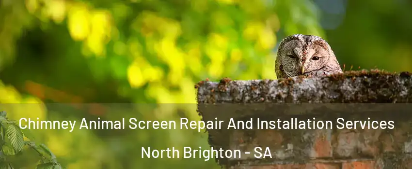 Chimney Animal Screen Repair And Installation Services North Brighton - SA