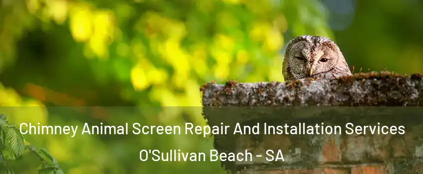 Chimney Animal Screen Repair And Installation Services O'Sullivan Beach - SA