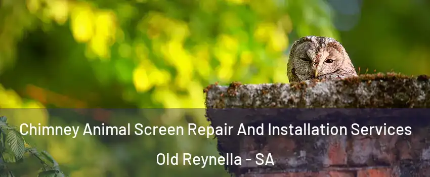 Chimney Animal Screen Repair And Installation Services Old Reynella - SA