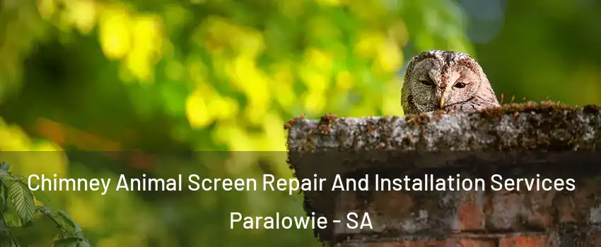 Chimney Animal Screen Repair And Installation Services Paralowie - SA