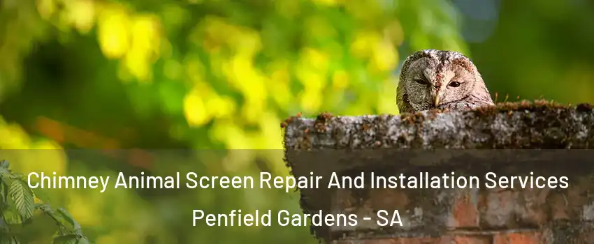 Chimney Animal Screen Repair And Installation Services Penfield Gardens - SA