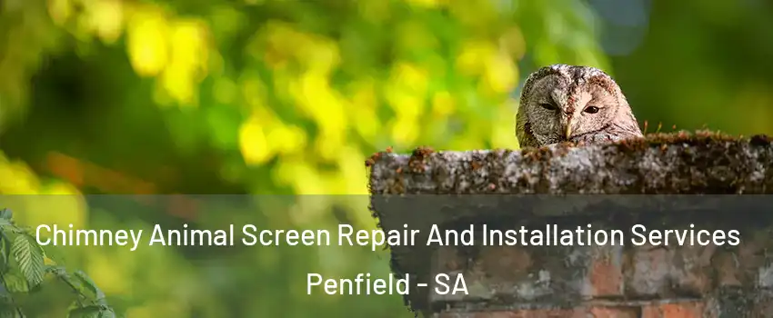 Chimney Animal Screen Repair And Installation Services Penfield - SA
