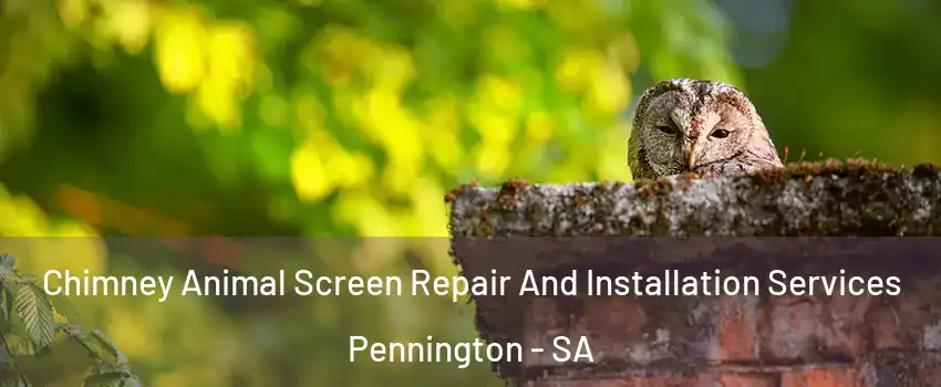 Chimney Animal Screen Repair And Installation Services Pennington - SA