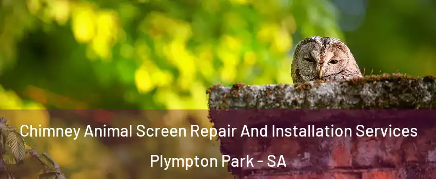 Chimney Animal Screen Repair And Installation Services Plympton Park - SA