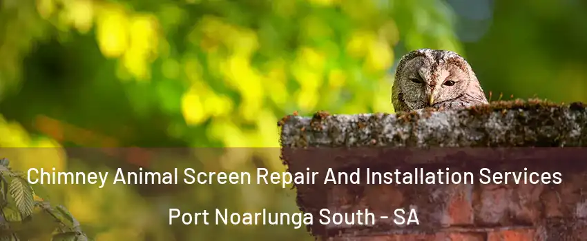 Chimney Animal Screen Repair And Installation Services Port Noarlunga South - SA