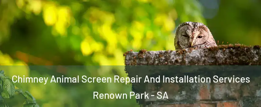 Chimney Animal Screen Repair And Installation Services Renown Park - SA