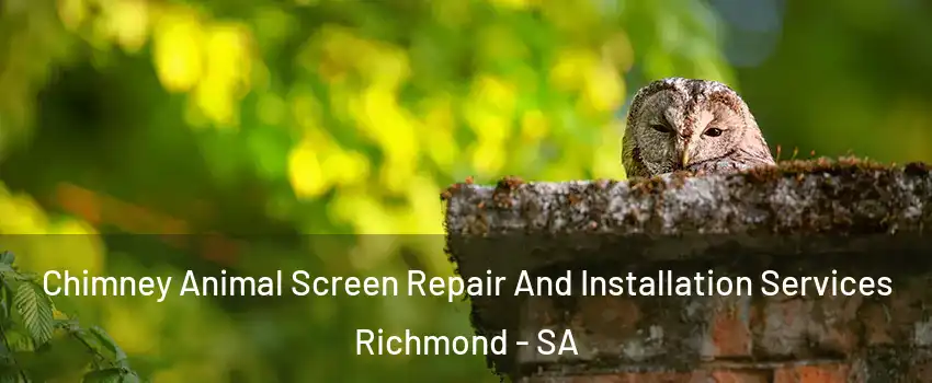Chimney Animal Screen Repair And Installation Services Richmond - SA
