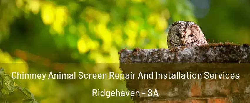 Chimney Animal Screen Repair And Installation Services Ridgehaven - SA