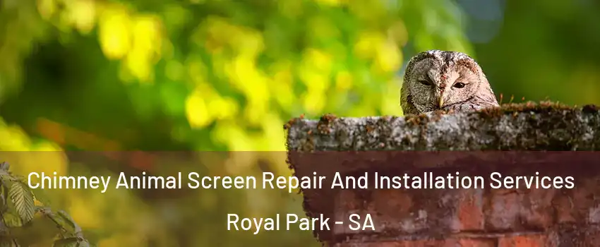 Chimney Animal Screen Repair And Installation Services Royal Park - SA