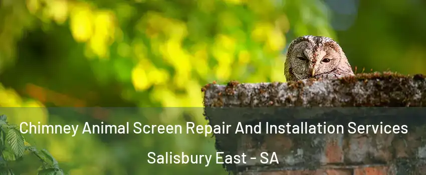 Chimney Animal Screen Repair And Installation Services Salisbury East - SA