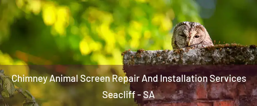 Chimney Animal Screen Repair And Installation Services Seacliff - SA