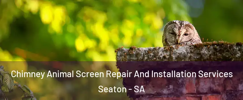 Chimney Animal Screen Repair And Installation Services Seaton - SA