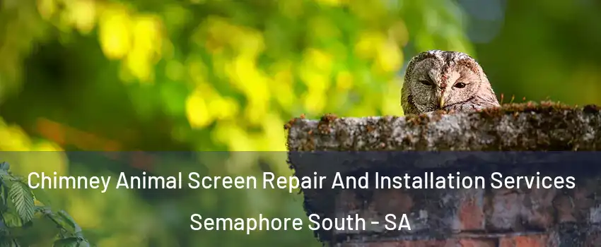 Chimney Animal Screen Repair And Installation Services Semaphore South - SA