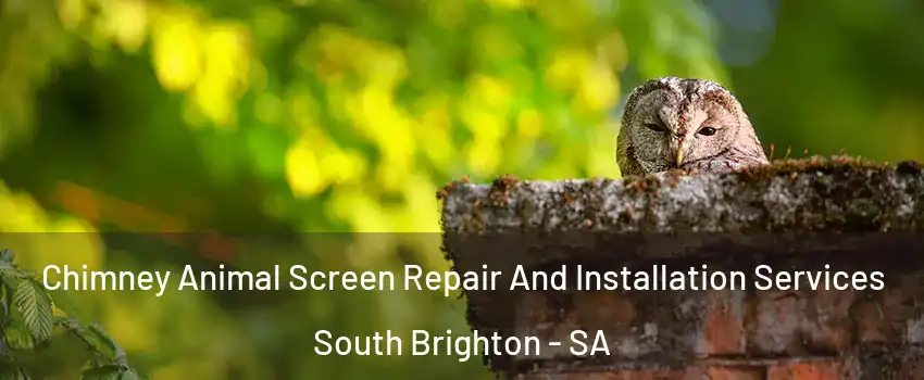 Chimney Animal Screen Repair And Installation Services South Brighton - SA