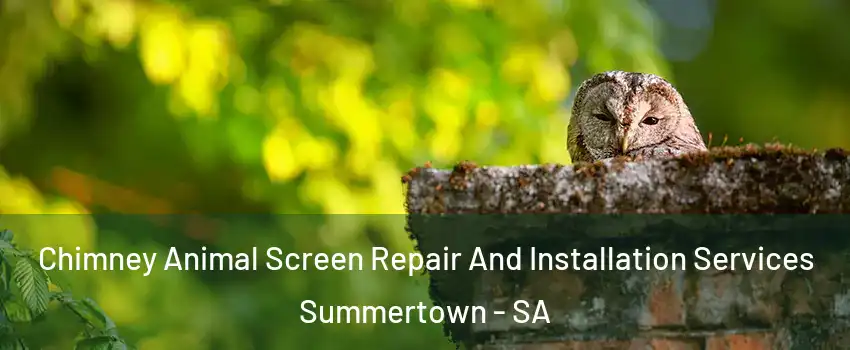 Chimney Animal Screen Repair And Installation Services Summertown - SA